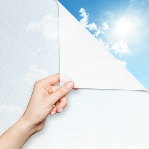 Window film frosted glass - window,